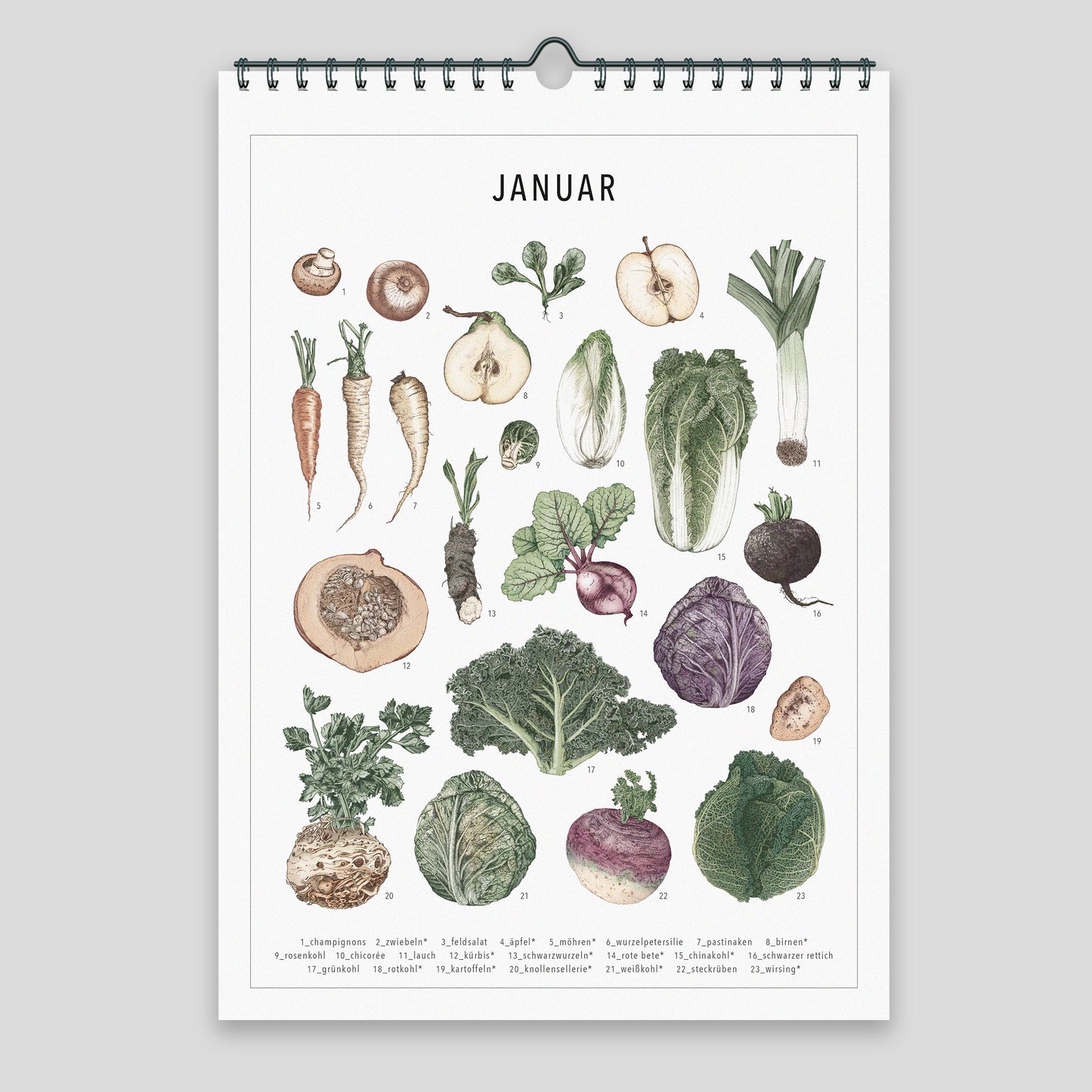 Saisonkalender – Wandkalender coloriert (DINA4)