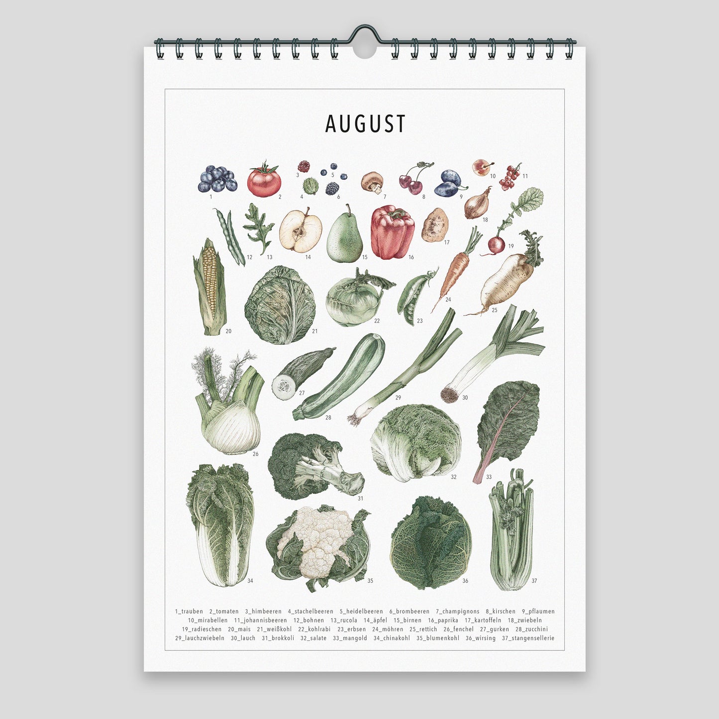 Saisonkalender – Wandkalender coloriert (DINA4)