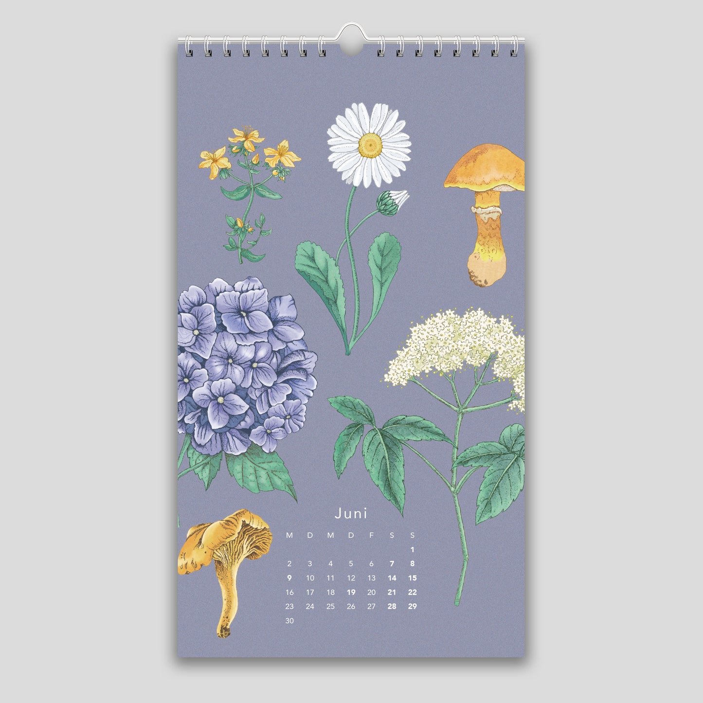 Naturkalender 2025 – Wandkalender