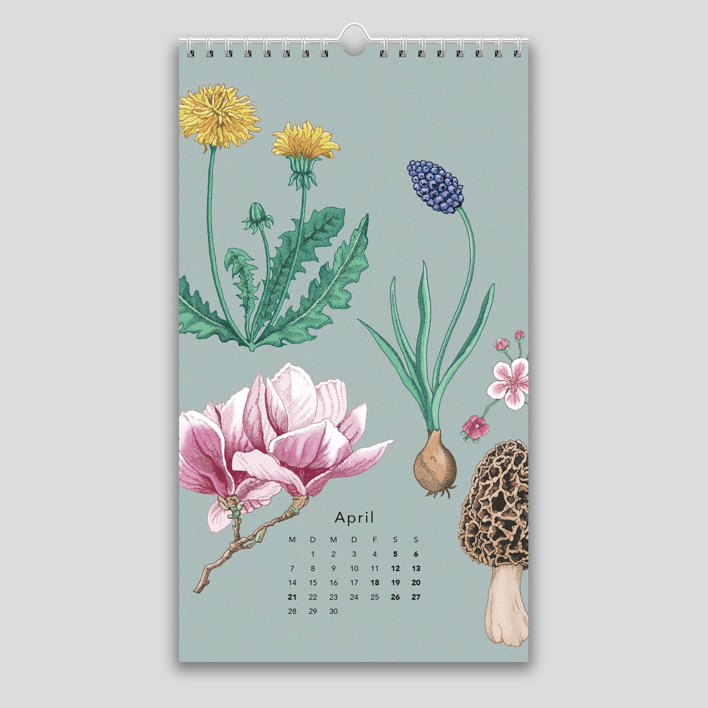 Naturkalender 2025 – Wandkalender