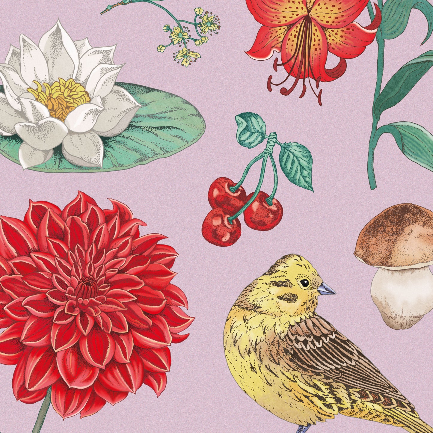Naturkalender 2025 – Wandkalender