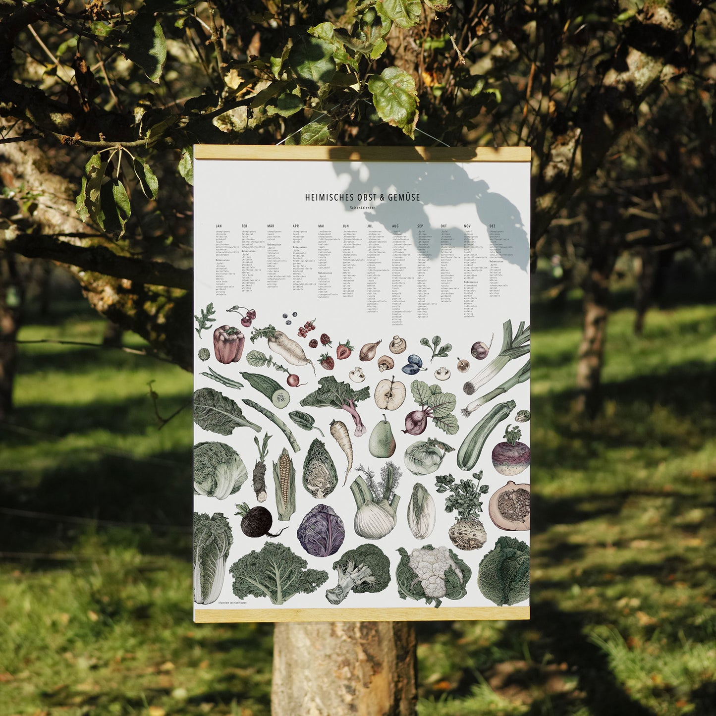Saisonkalender – Poster Collage coloriert (DINA2)
