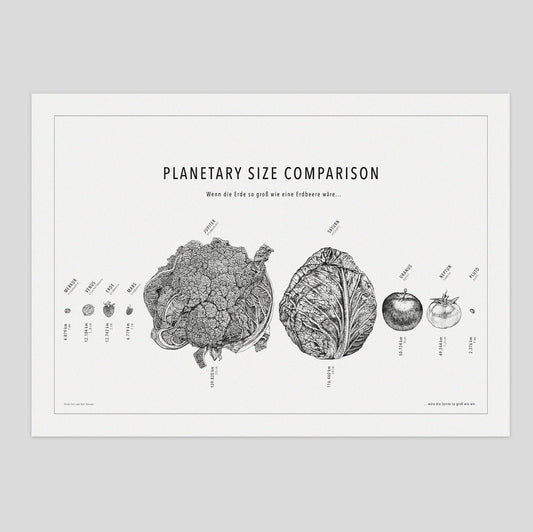 Universum – Poster s/w