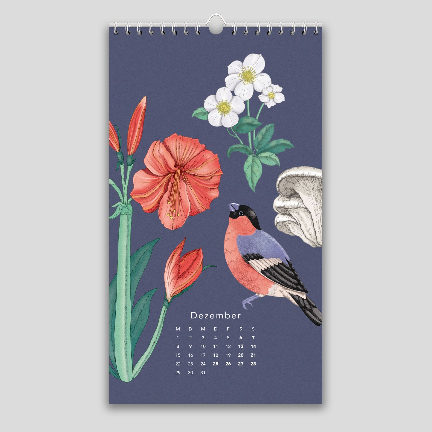 Naturkalender 2025 – Wandkalender
