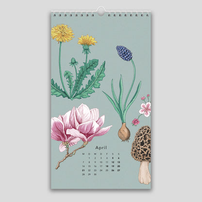 Naturkalender 2025 – Wandkalender