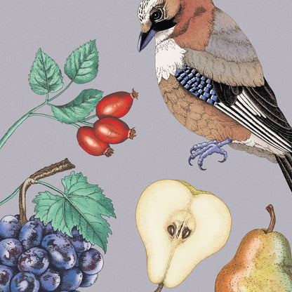 Naturkalender 2025 – Wandkalender